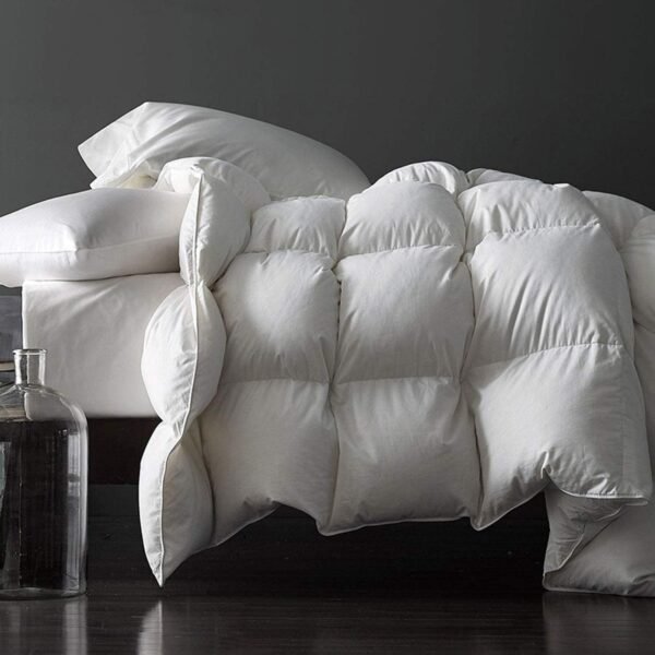Premium Feathers Down Comforter Queen Size White Heavyweight Thickened Full Szie 100% Cotton Cover Winter Duvet Insert with Corner Tabs (90x90, 60 oz)