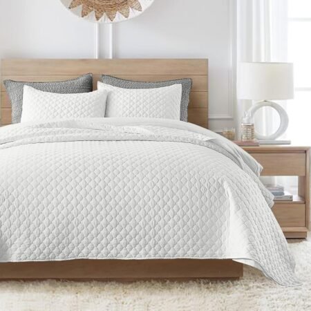 Cream Quilt Queen Size, Lightweight Quilt for Summer Ultra-Soft Microfiber rn Style Quilted Clouds Pattern Bedspread Quit Set 3 Pieces(1 Quilt and 2 Pillow Shams)
